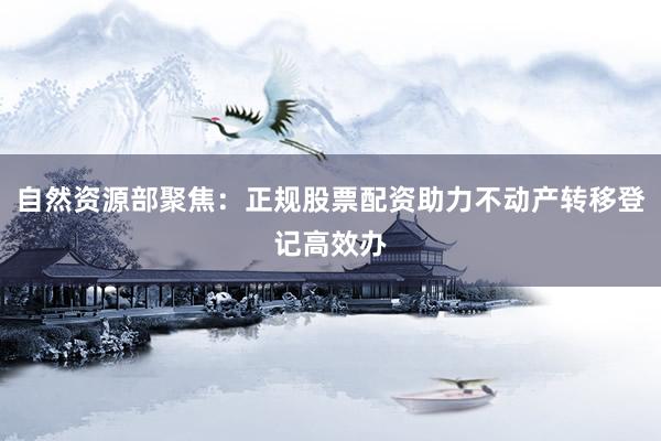 自然资源部聚焦：正规股票配资助力不动产转移登记高效办
