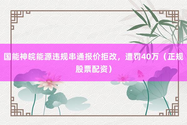 国能神皖能源违规串通报价拒改，遭罚40万（正规股票配资）