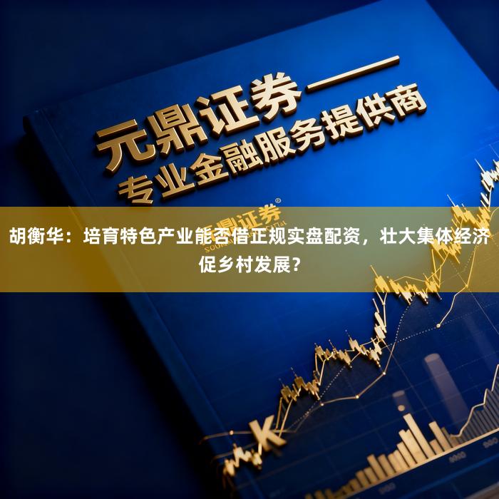 胡衡华：培育特色产业能否借正规实盘配资，壮大集体经济促乡村发展？