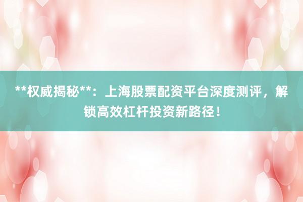 **权威揭秘**：上海股票配资平台深度测评，解锁高效杠杆投资新路径！