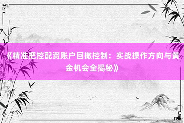 《精准把控配资账户回撤控制：实战操作方向与黄金机会全揭秘》