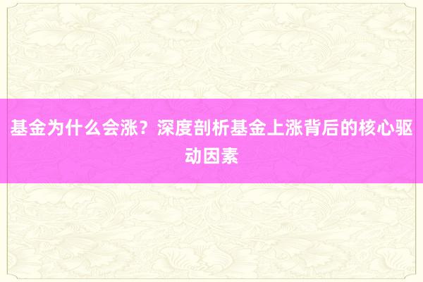 基金为什么会涨？深度剖析基金上涨背后的核心驱动因素