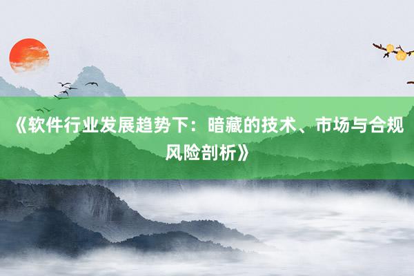 《软件行业发展趋势下：暗藏的技术、市场与合规风险剖析》